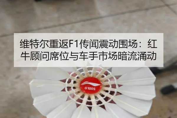 wei-te-er-chong-fan-chuan-wen-zhen-dong-wei-chang-hong-niu-gu-wen-xi-wei-yu-che-shou-shi-chang-an-liu-yong-dong-3-300.jpg