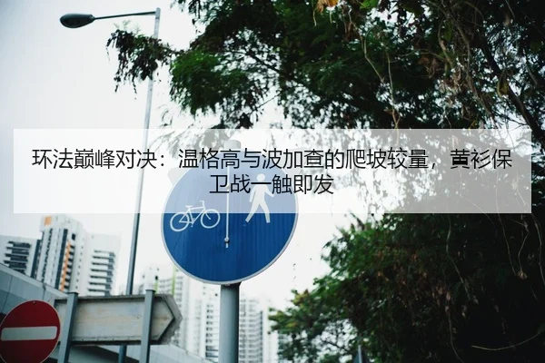 环法巅峰对决：温格高与波加查的爬坡较量，黄衫保卫战一触即发