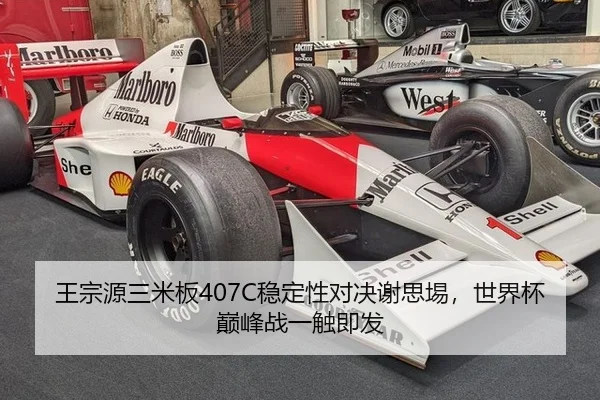 wang-zong-yuan-san-mi-ban-wen-ding-xing-dui-jue-xie-si-yi-shi-jie-bei-dian-feng-zhan-yi-chu-ji-fa-2-390.jpg