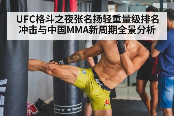 MMA training gym heavy bag